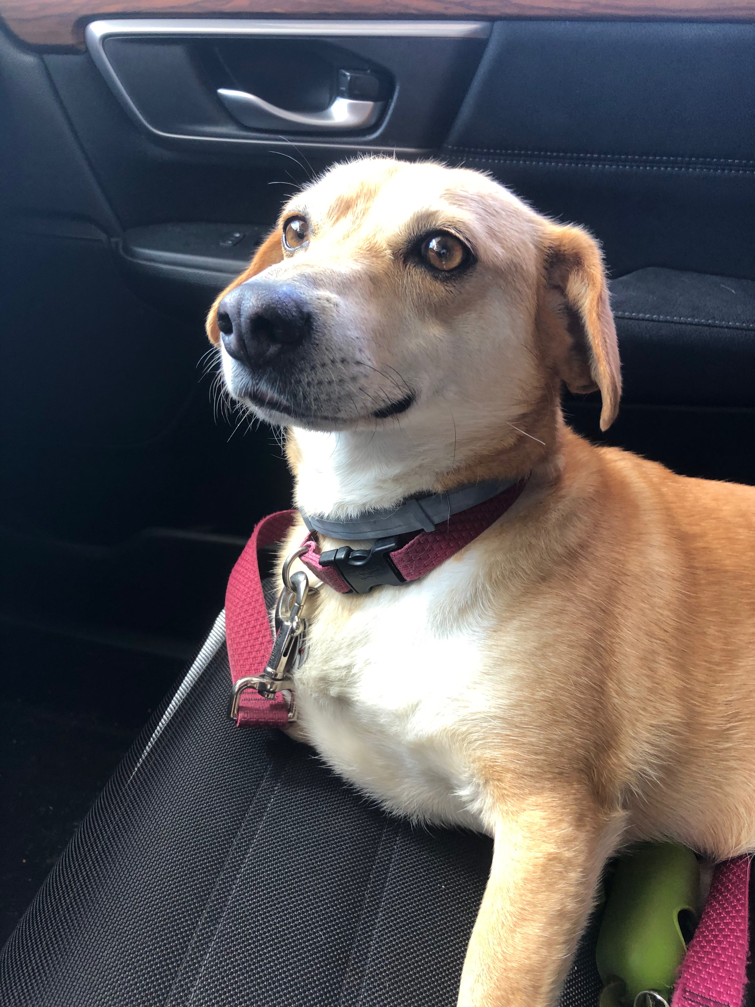 Walk it Out – Raised Catholic episode 8