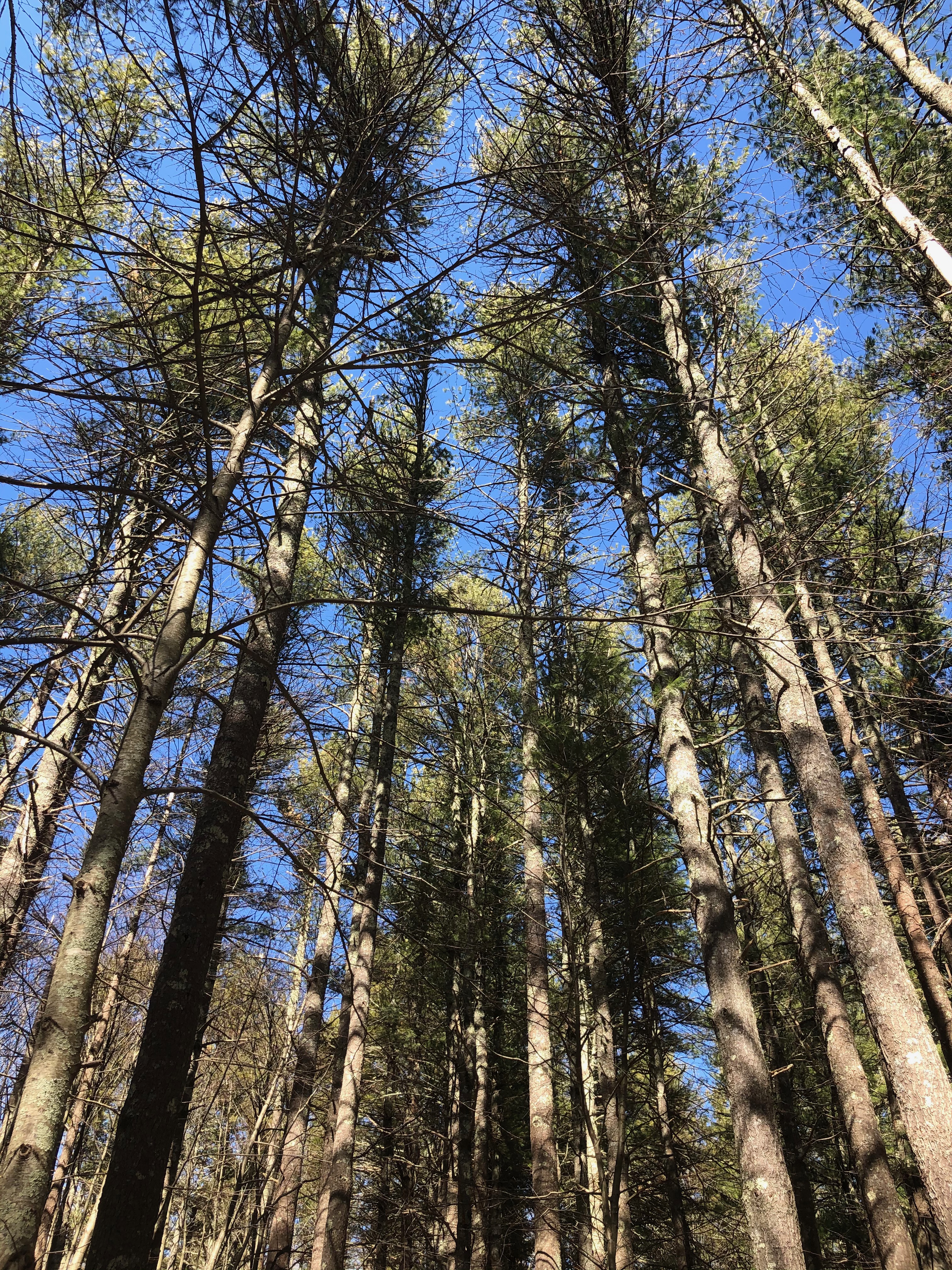 Quiet and Loud – Raised Catholic episode 5