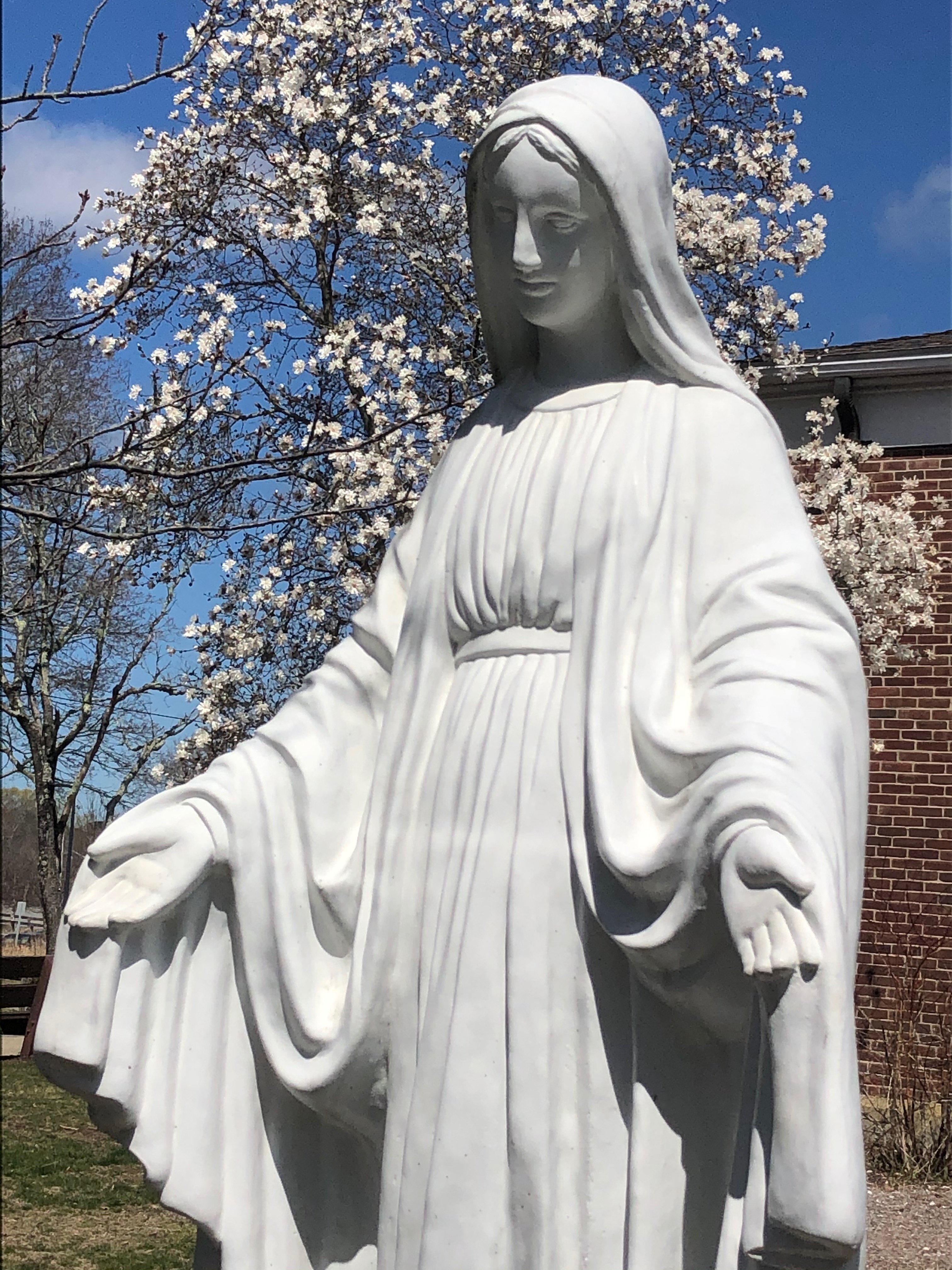 Mother Mary – Raised Catholic episode 18