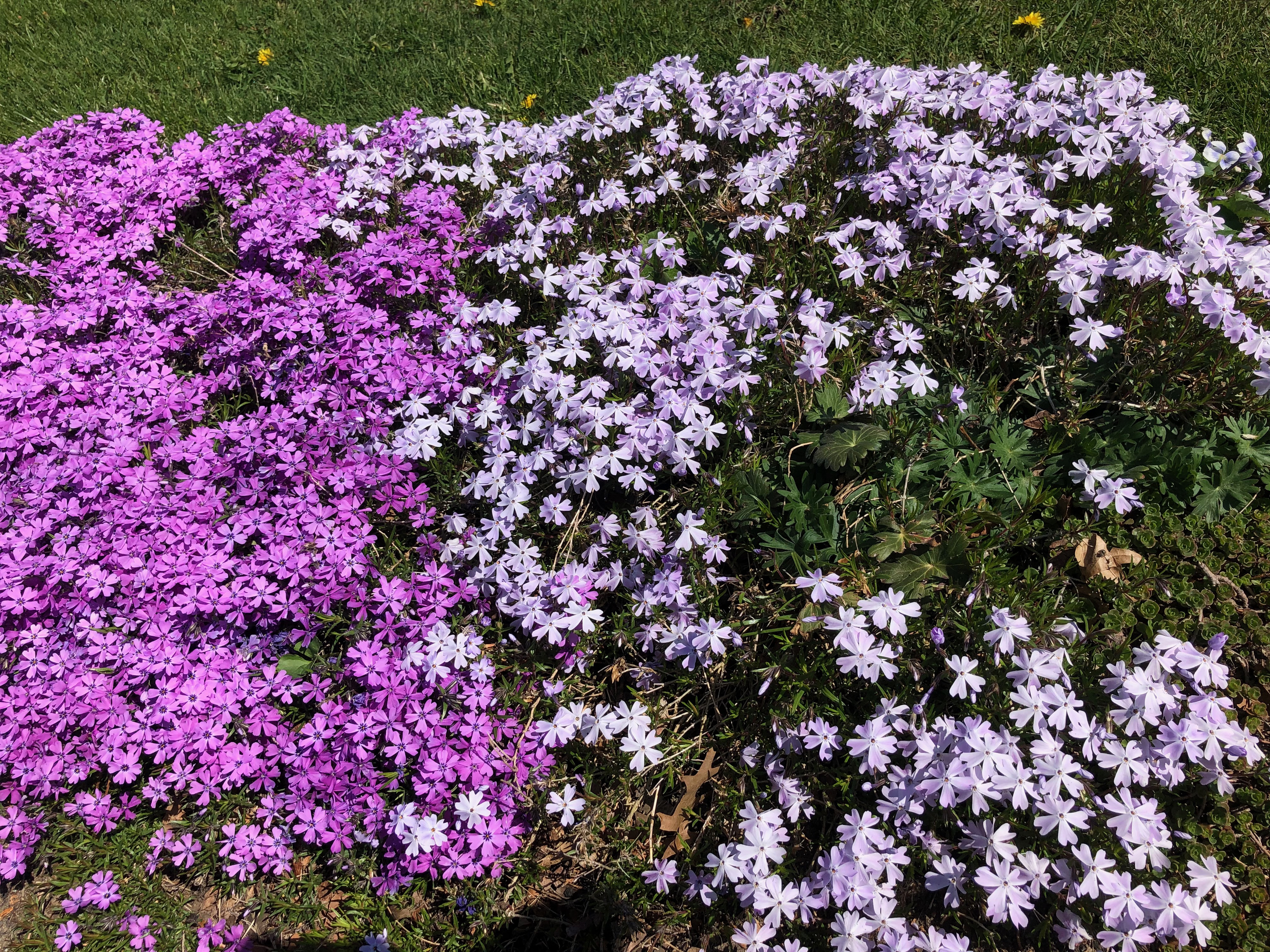 Finding God – Raised Catholic episode 19