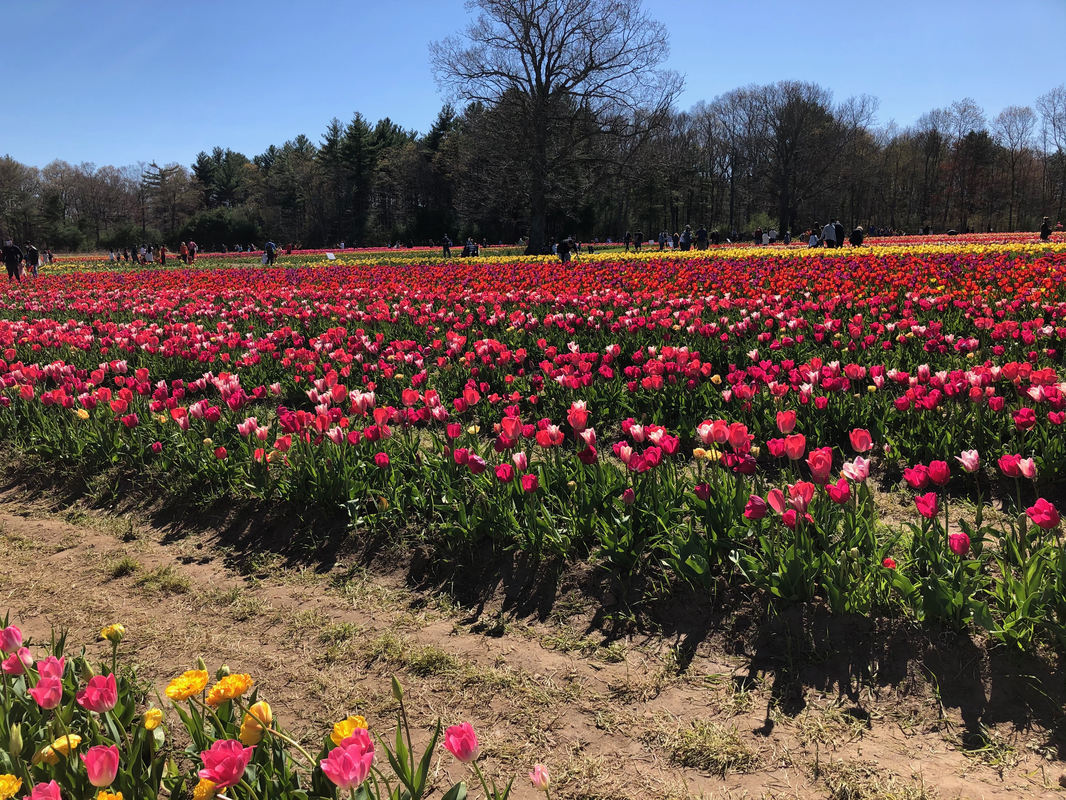 Let’s Talk About Lent – Raised Catholic episode 10