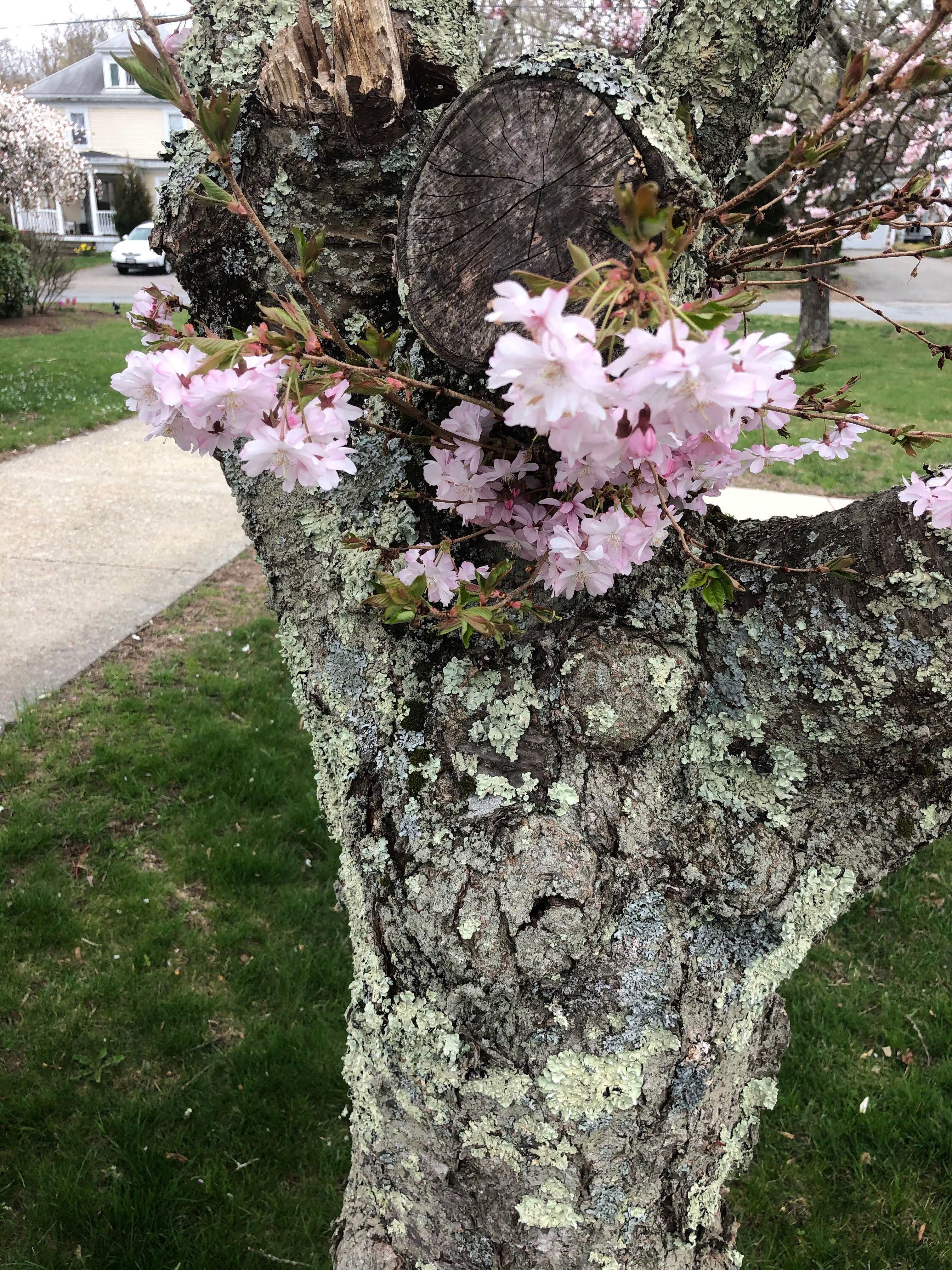 Pass it On – Raised Catholic episode 40