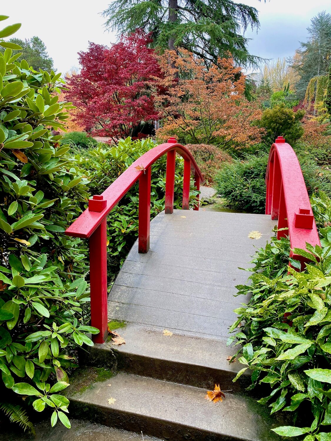 The most inspiring Japanese gardens in the Seattle area - Kessi World