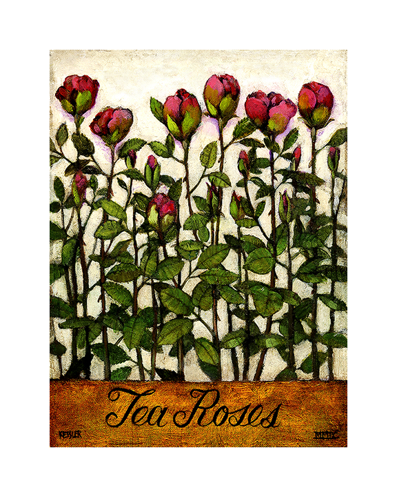 Tea Roses