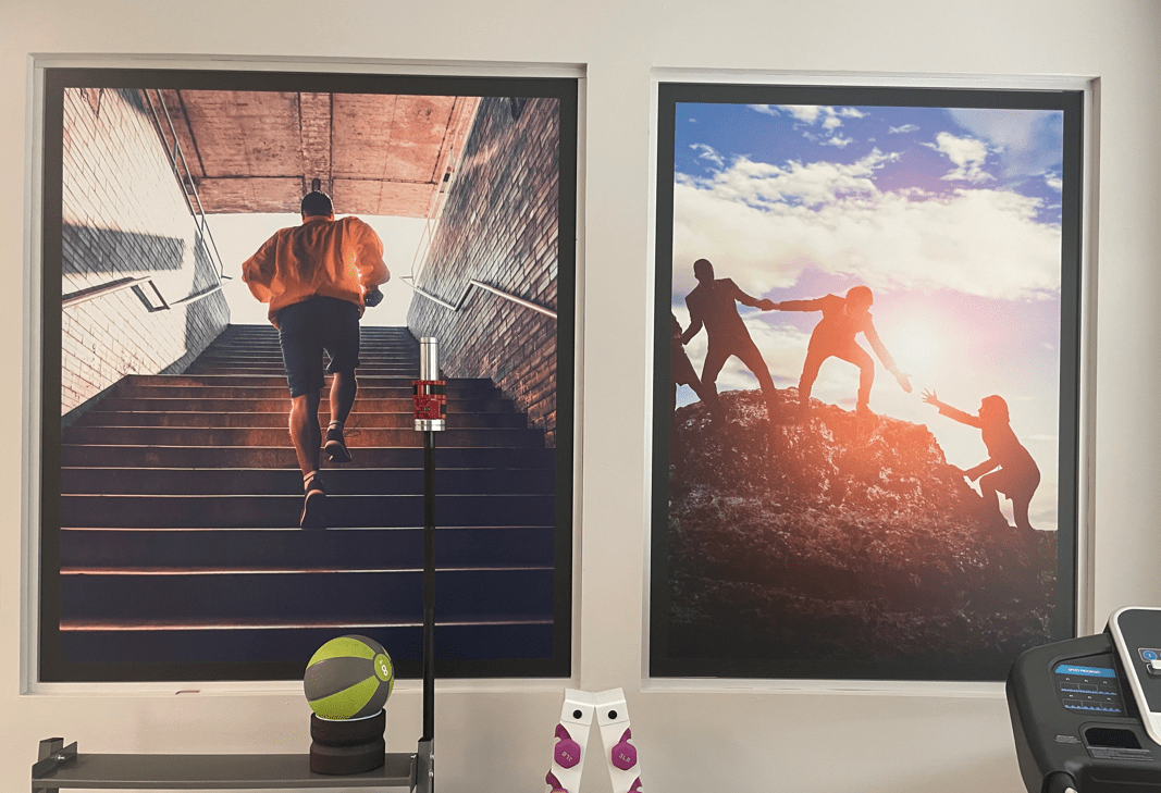 Wall Murals & Posters