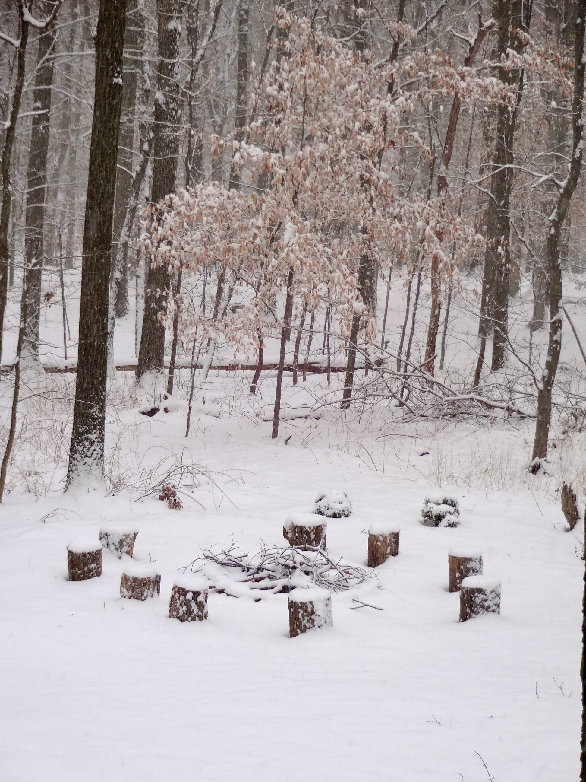 Snowy Day © KETMALA’S KITCHEN 2012-13