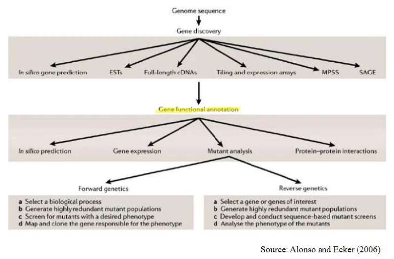 Accelerating Gene Function Annotation Fig1small Biosciences Area - Sunset Images - Incredible HD Collection