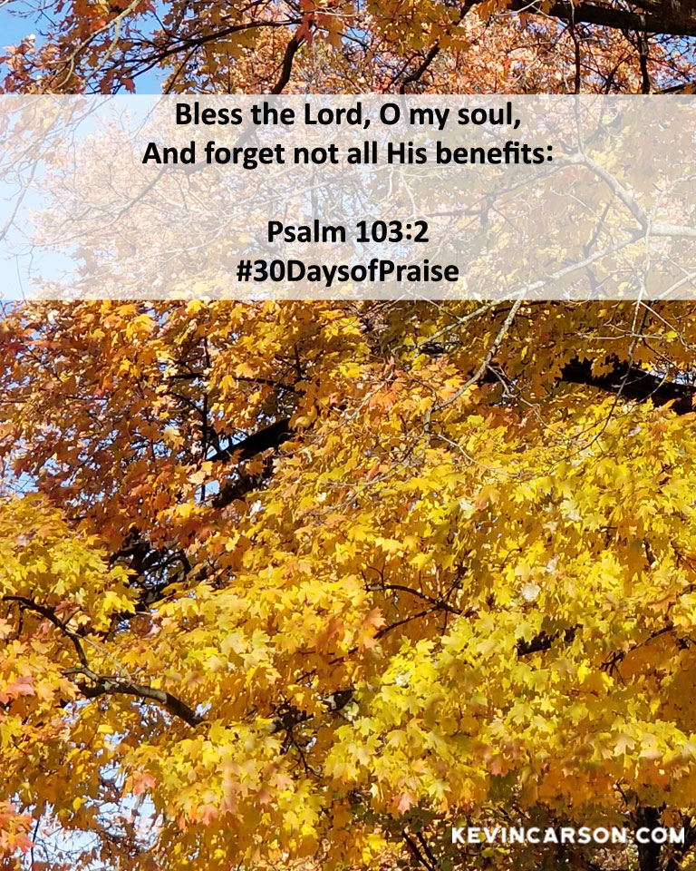 Ps-103-2-30DaysofPriase