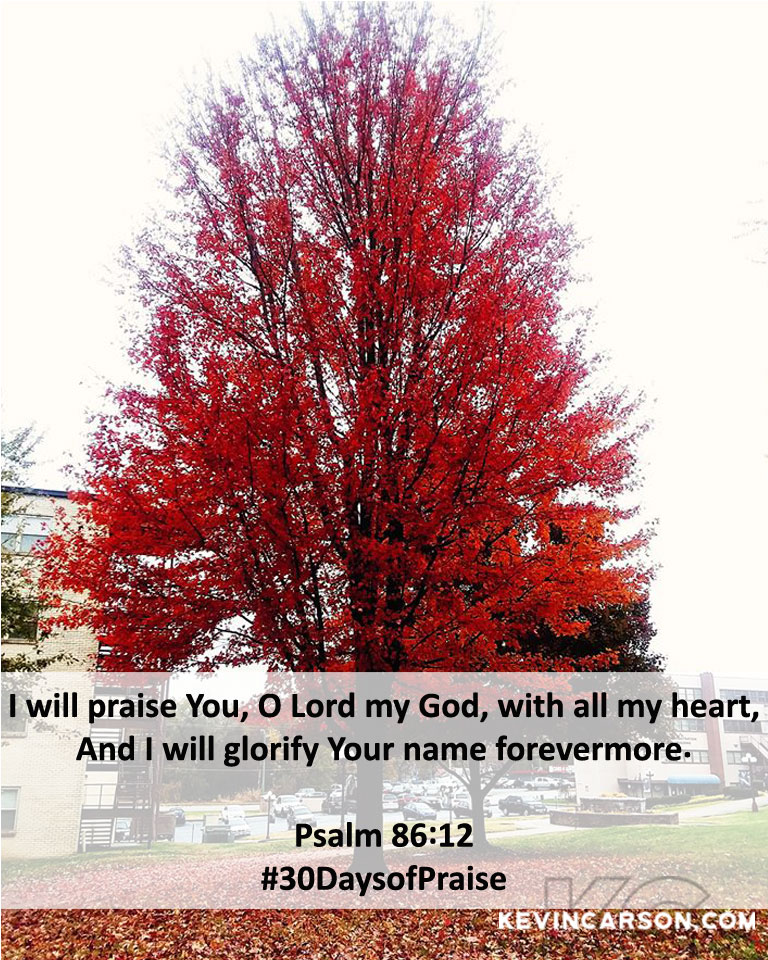 Ps-86-12-30DaysofPraise