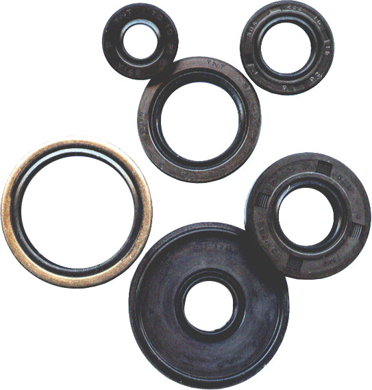 Oil Seal Kit - KLX110 02-19