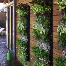 vertical garden1