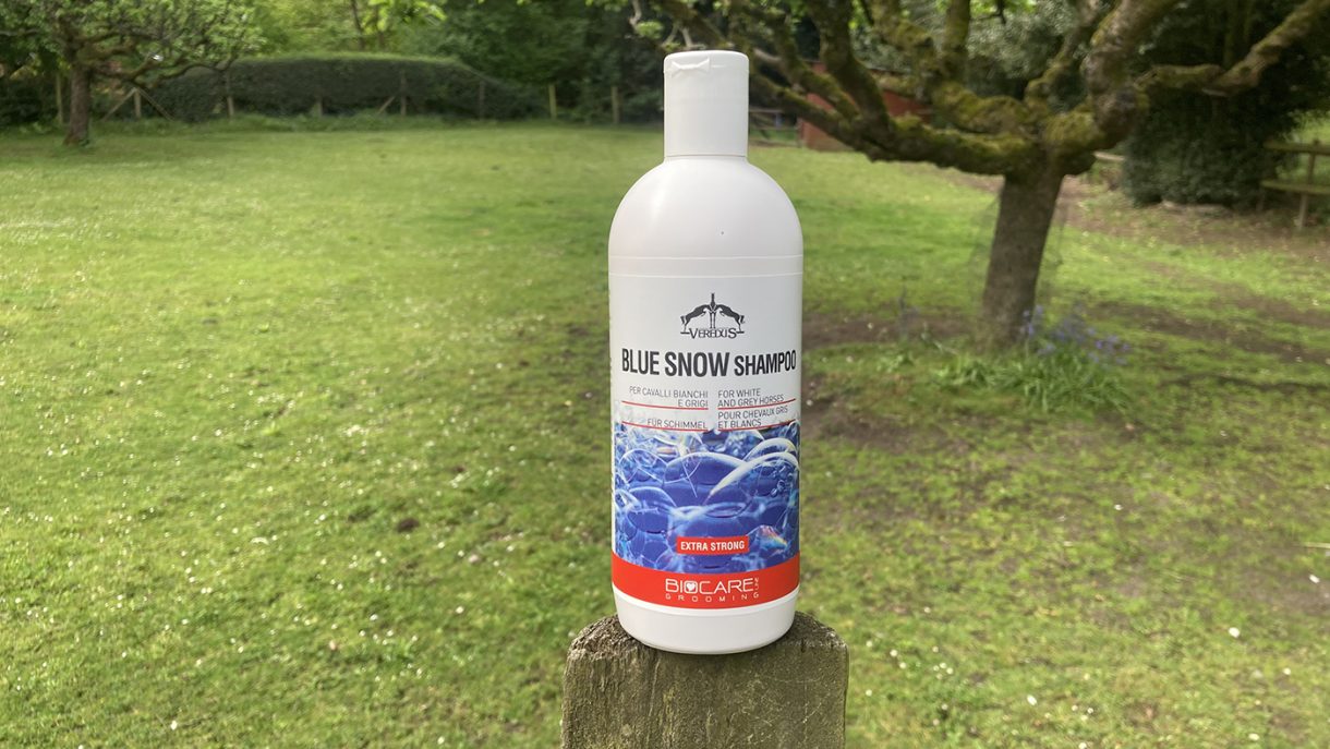 Best whitening shampoos for horses