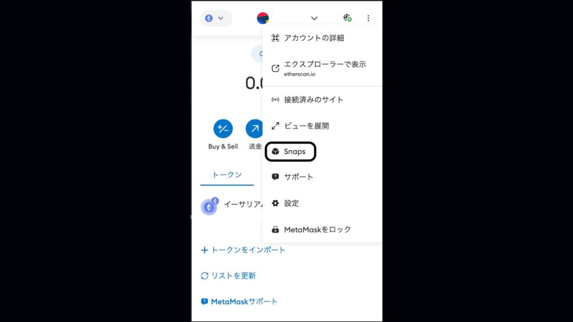 metamask-snap-list-min