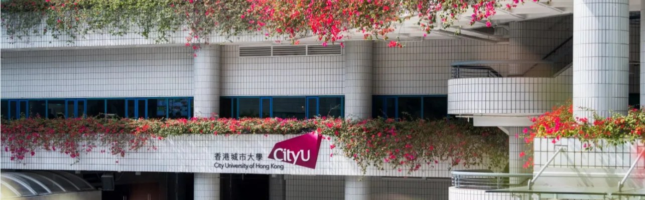 Bachelor Of Engineering In Architectural Engineering Kowloon Tong