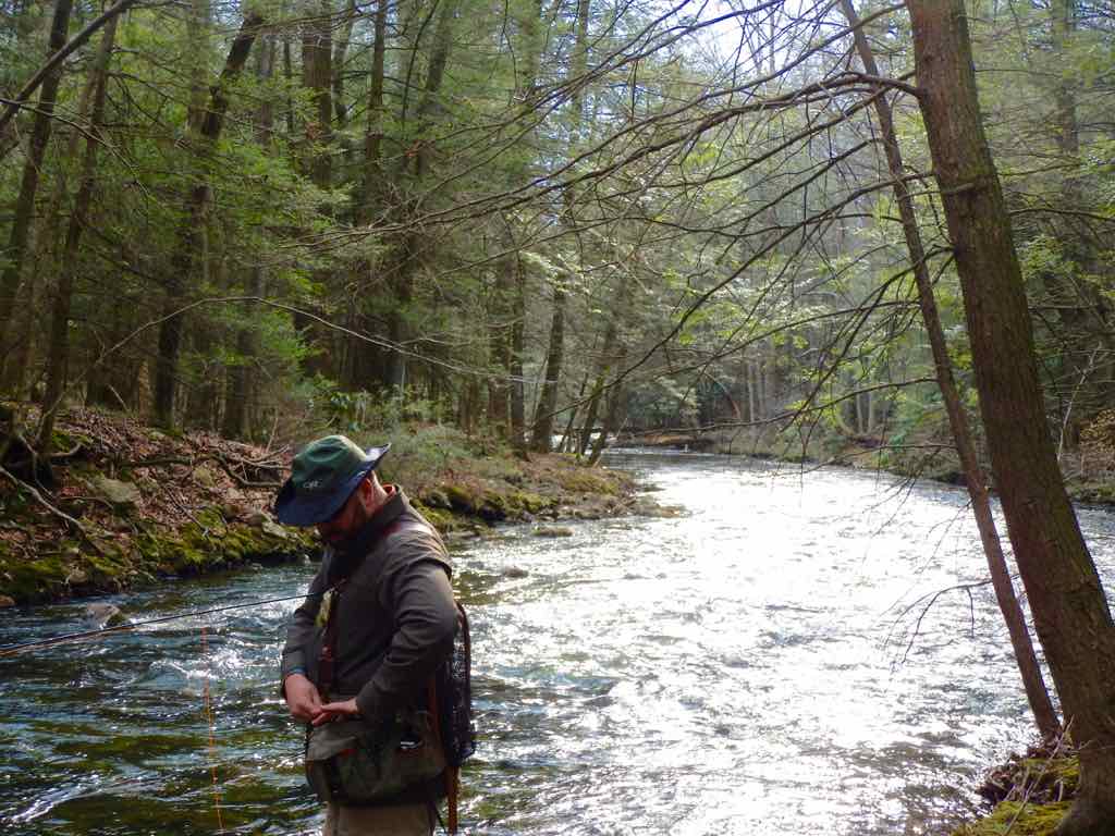 Pedaling Stream Report: Stoney Creek, Dauphin County Pennsylvania