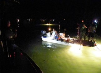 Midnight Opening A group of fireworks in the night sky - Florida Keys