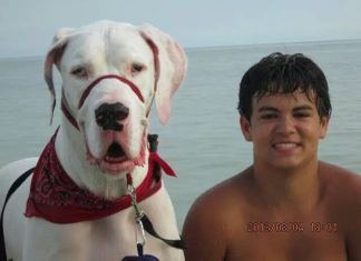 #News: Family recovers from houseboat fire & community responds - A person and a dog in a body of water - Great Dane