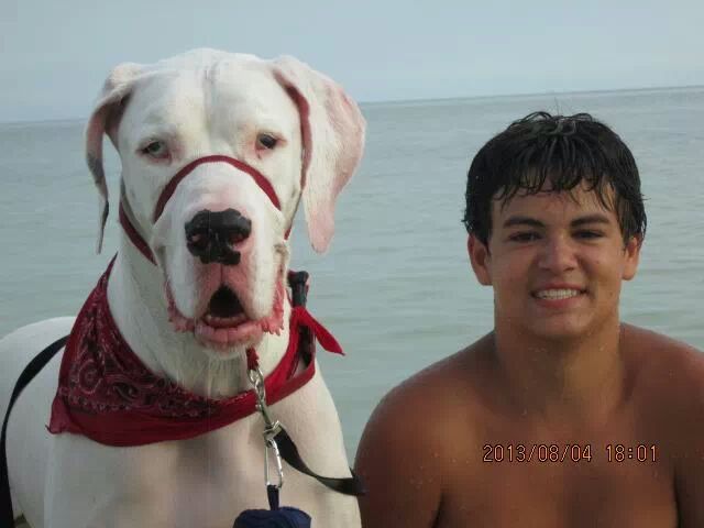 #News: Family recovers from houseboat fire & community responds - A person and a dog in a body of water - Great Dane