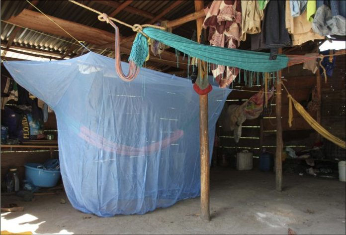No bite = no malaria - A blue and white umbrella - 