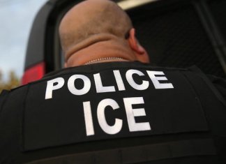 ICE in the Tropics: The Story Behind the Peter Brown Case ICE in the Tropics: The Story Behind the Peter Brown Case - A man holding a sign - Vehicle License Plates