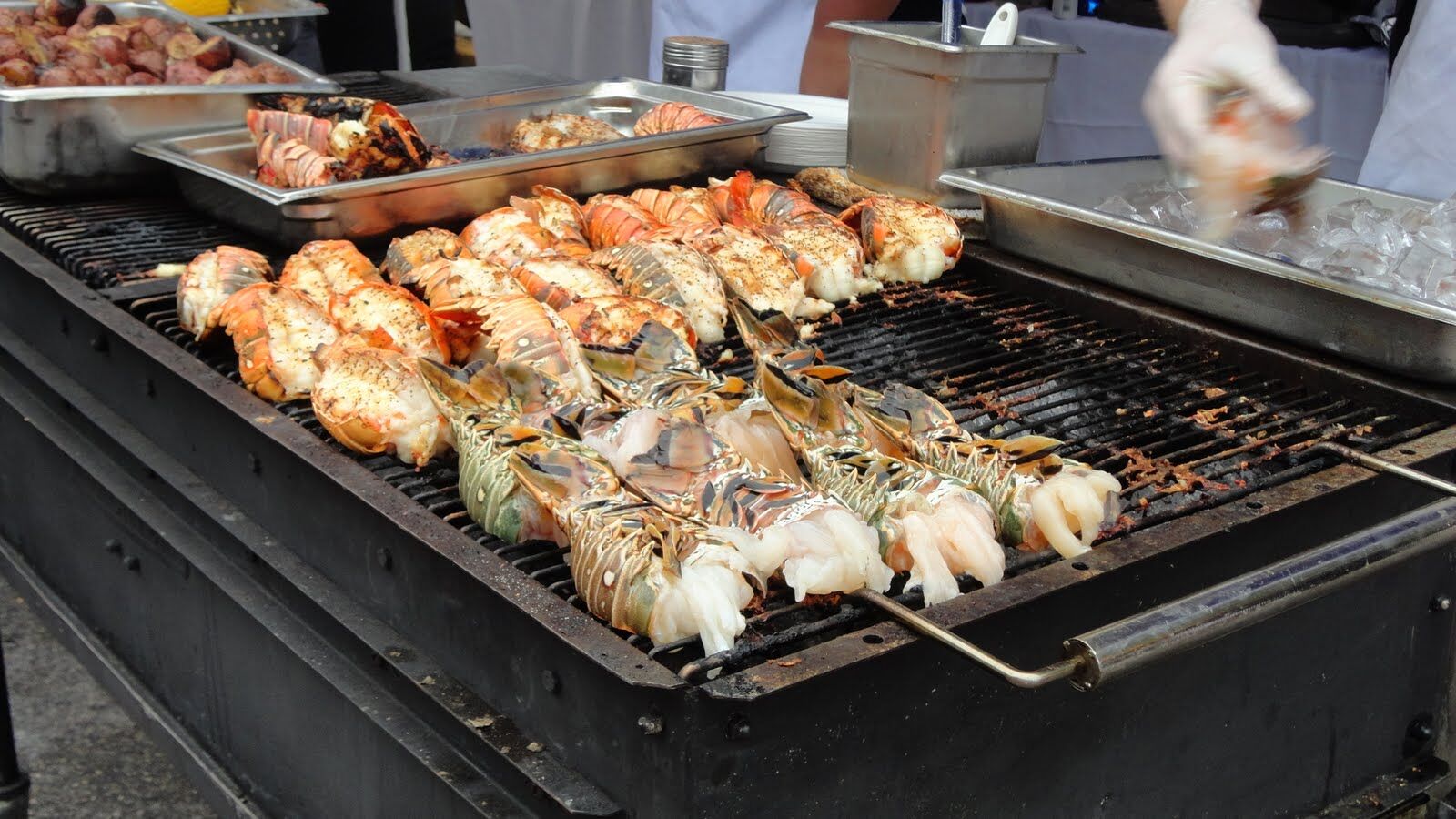 A Crustacean Celebration Key West Lobsterfest 2019 Florida Keys