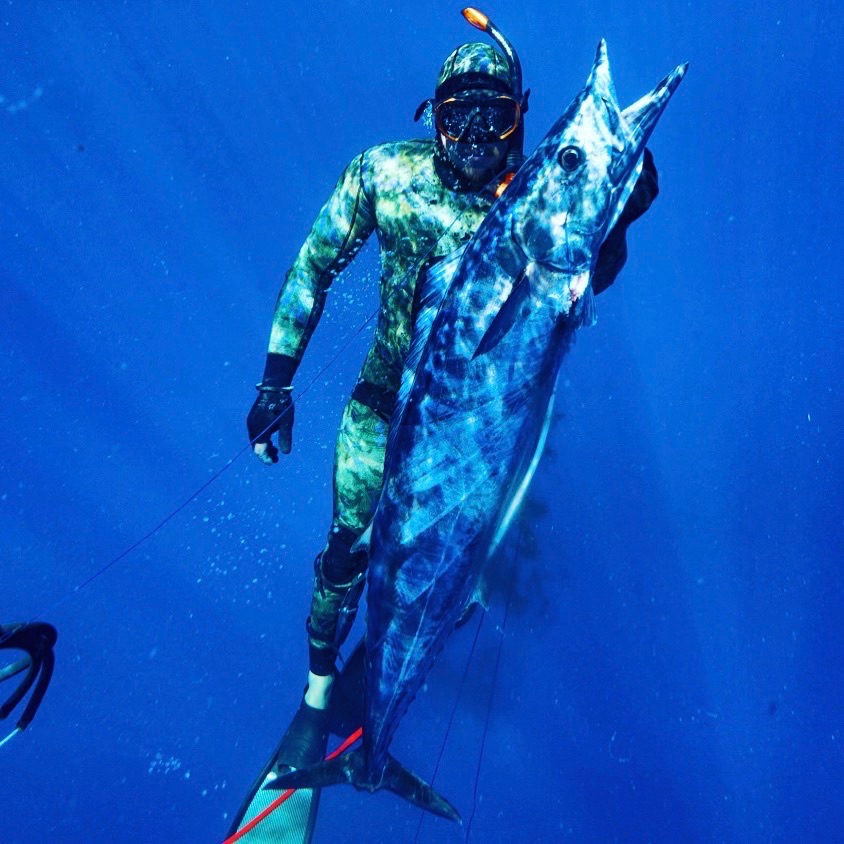 Wahoo