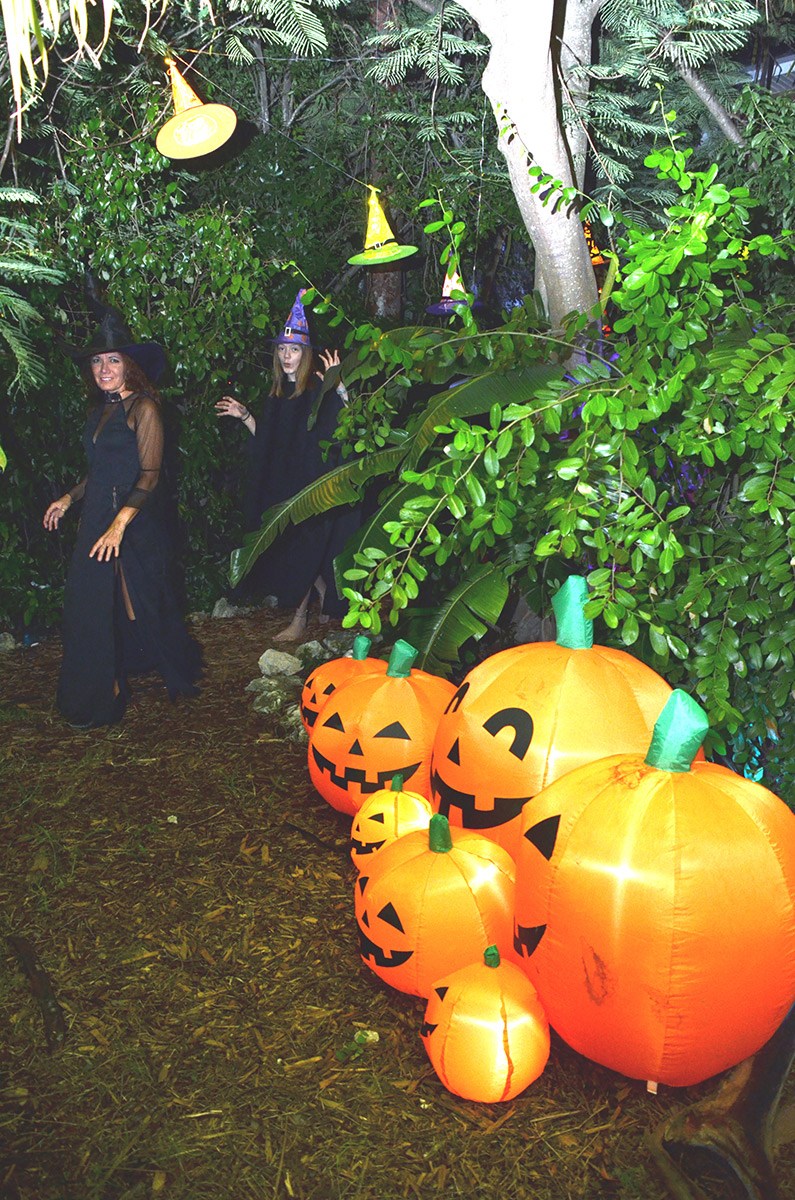 041-Pumkin-Patch-#-2