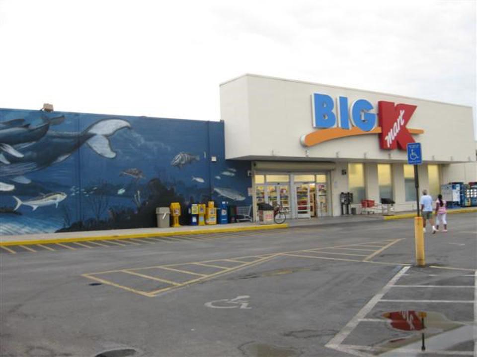 big bolsas kmart