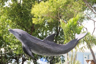 Tug a statue of a dolphin is in the air