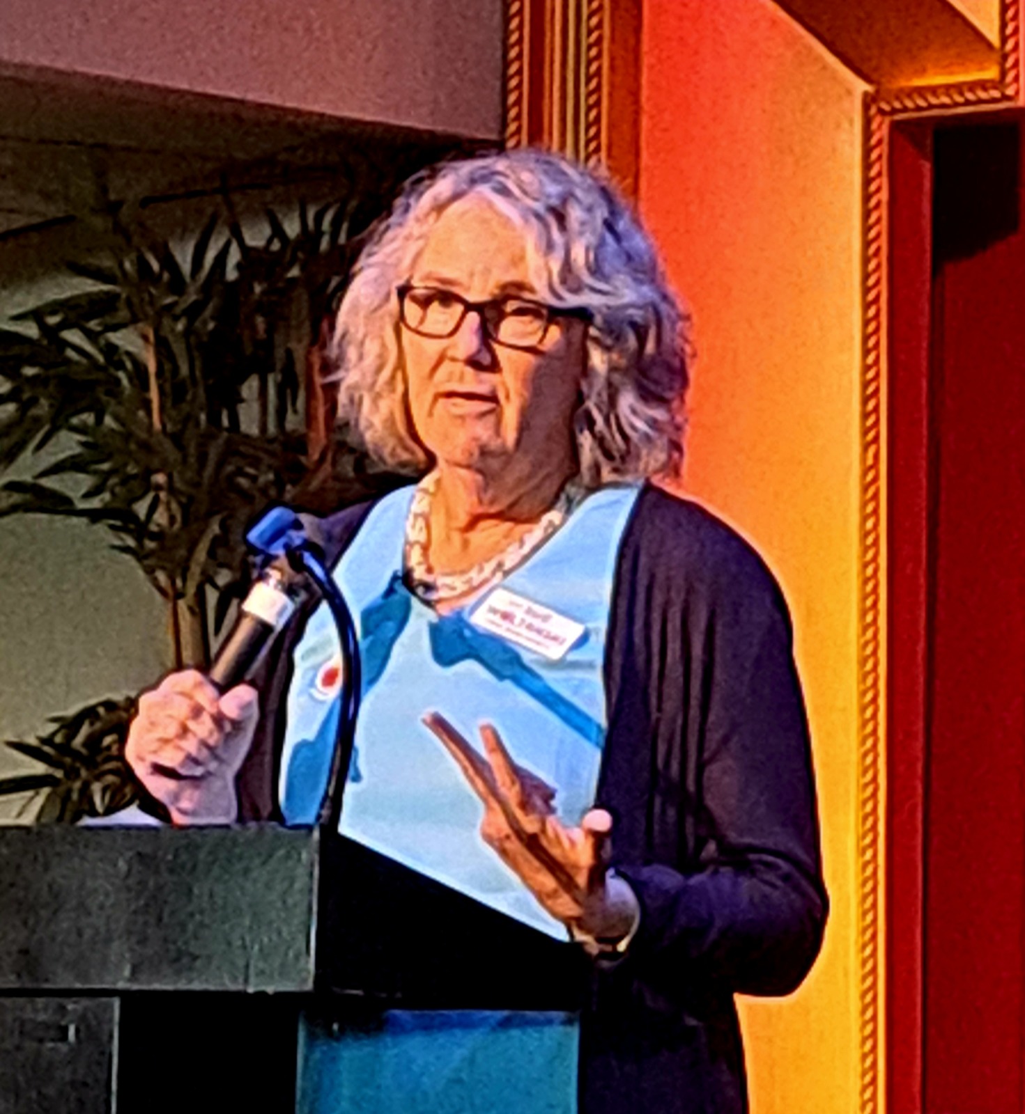 a woman standing at a podium giving a speech