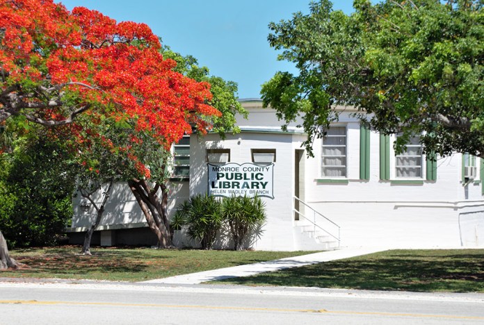 Isla Library a white building with a red tree in front of it