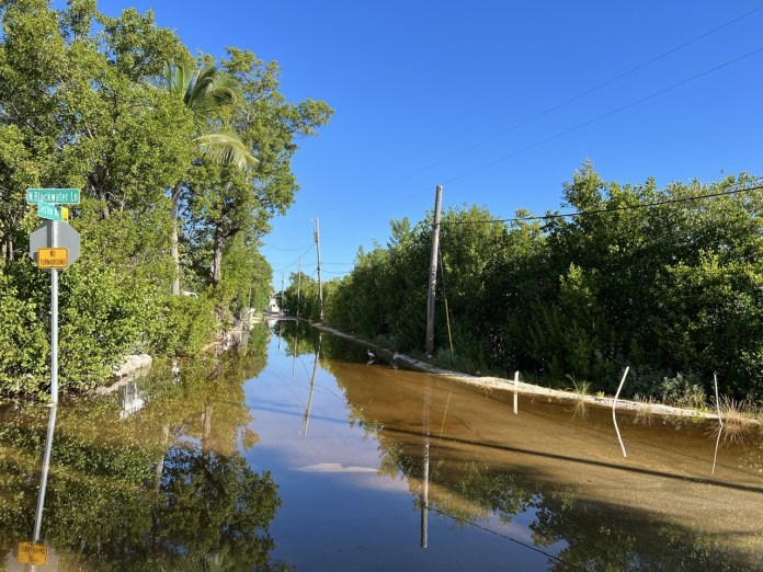 Sexton Way 2 Large a flooded street with trees and a street sign