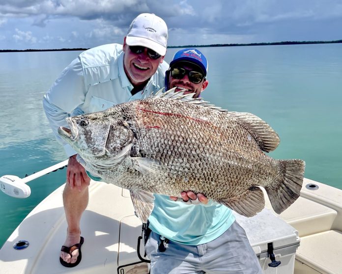 Tripletail a man and a boy on a boat holding a fish