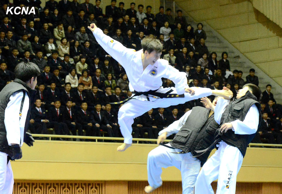 El Taekwondo es conocido a nivel mundial por su gran variedad de golpes de pie y sus espectaculares patadas en salto.