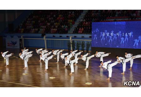 Apertura del XX Campeonato Mundial ITF en el Palacio del Taekwondo de Pyongyang.