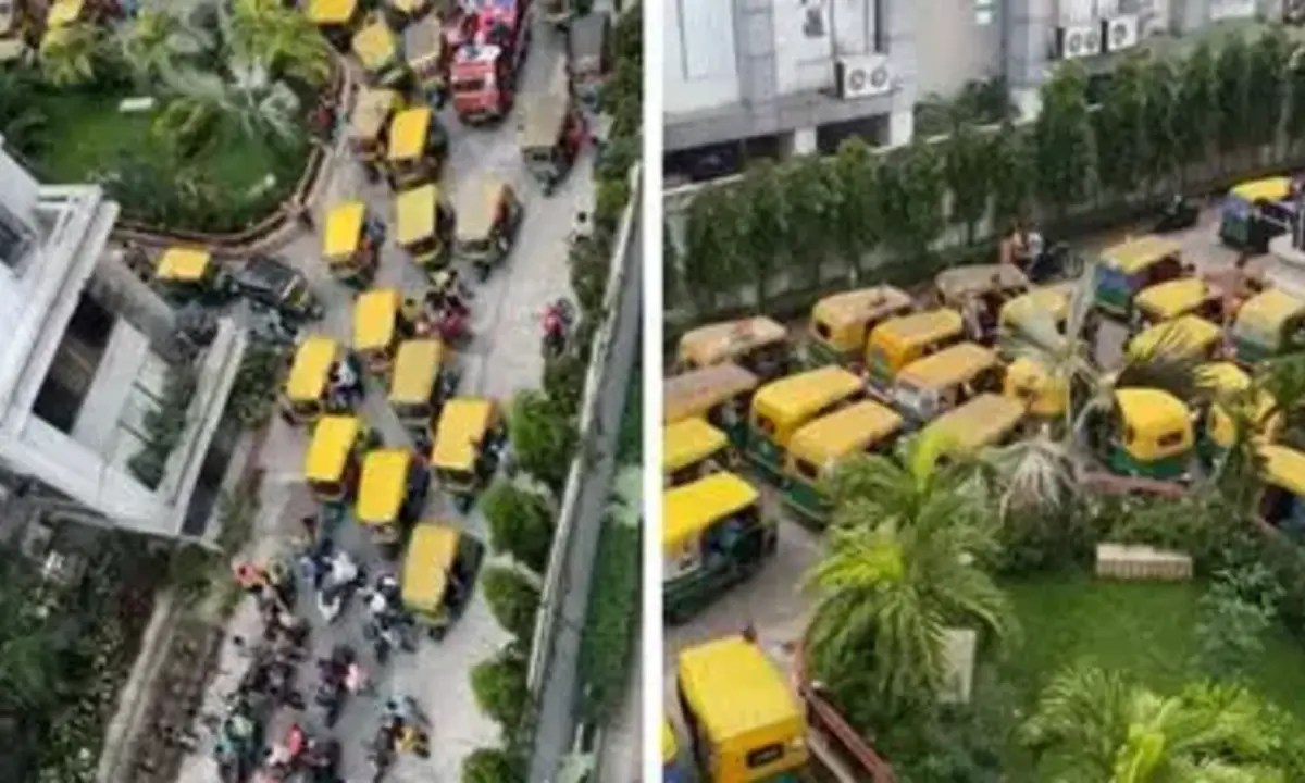 Auto Procession, TMC, BJP, loksabha election, Election result, Ultodanga, আবাসন, অটো-বাইক, তৃণমূল, বিজেপি, জয়ের উচ্ছ্বাস