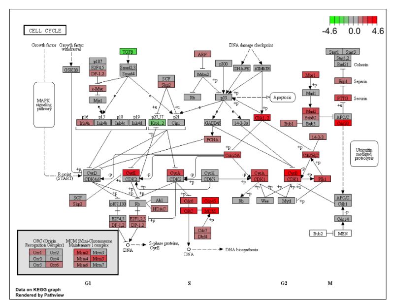 Pdf Seq2pathway An R Bioconductor Package For Pathway Analysis Of - Download Ultra HD Dark Background | Ultra HD