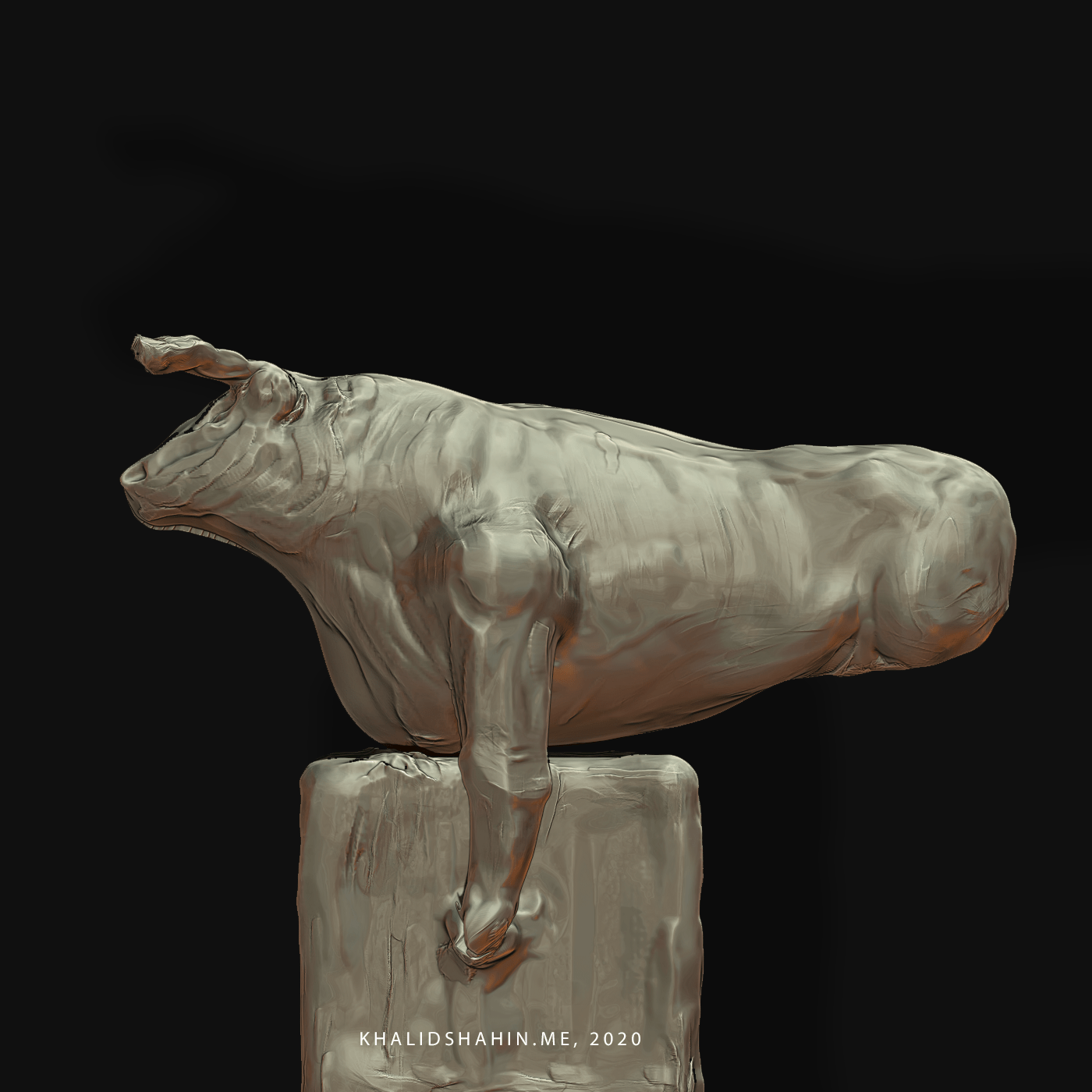 The domestic bovine bos taurus is raised worldwide for meat and milk production, or even for field work. Sculpture Taurus El Toro Khalid Shahin