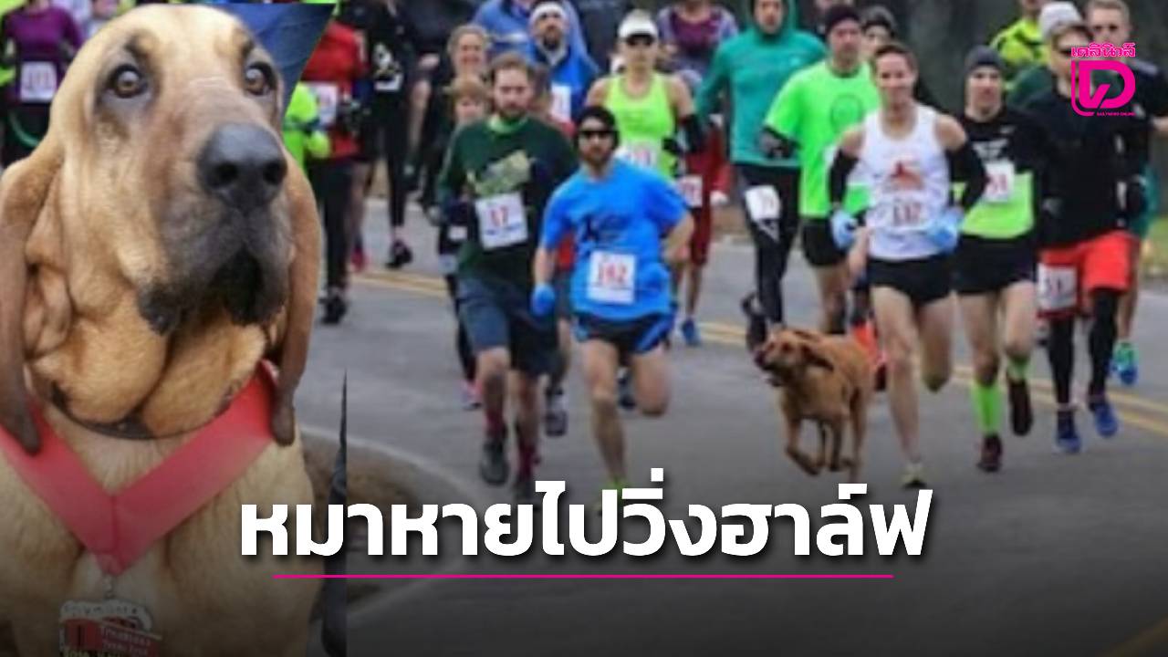 หมานักวิ่ง! แว่บจากบ้านลงแข่ง ‘ฮาล์ฟ มาราธอน’ กับ ‘นุด’ คว้าที่ 7 กว่าเจ้าของรู้ตัวก็มีรางวัลมาฝากแล้ว