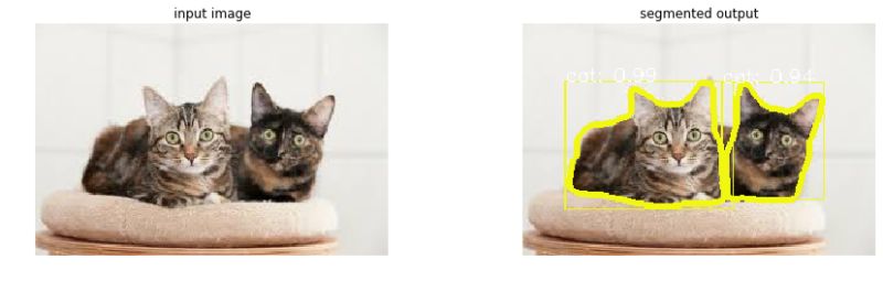 Mencit Putih Betina Segmentation Only Instance Segmentation Model By - Ultra HD Retina Space Textures | Free Download