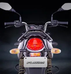 Rear view of Bajaj Platina 110 highlighting its clear and stylish back indicators for better visibility