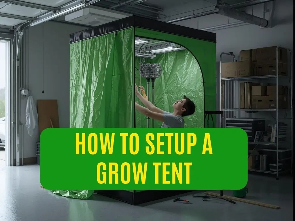how to setup a grow tent for beginners