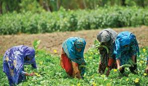 women's in agriculture