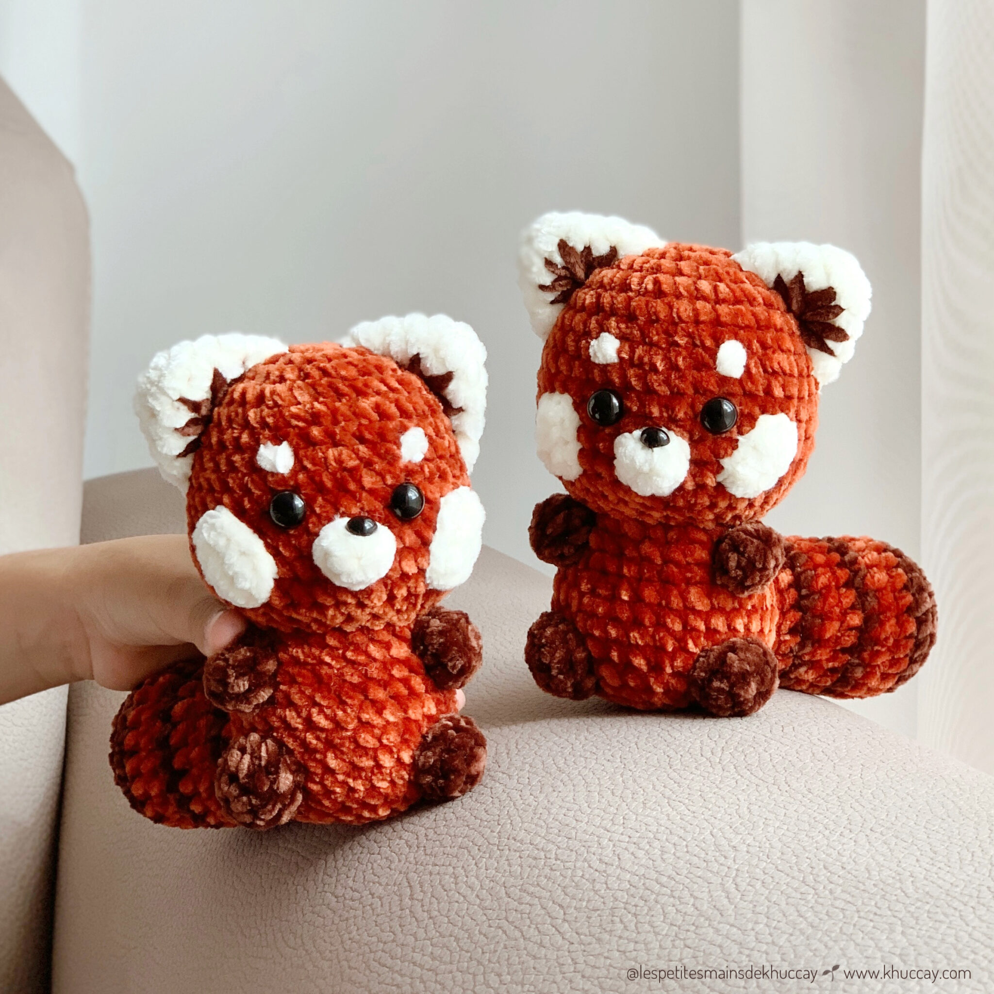 Jean the red panda - Khuc Cay