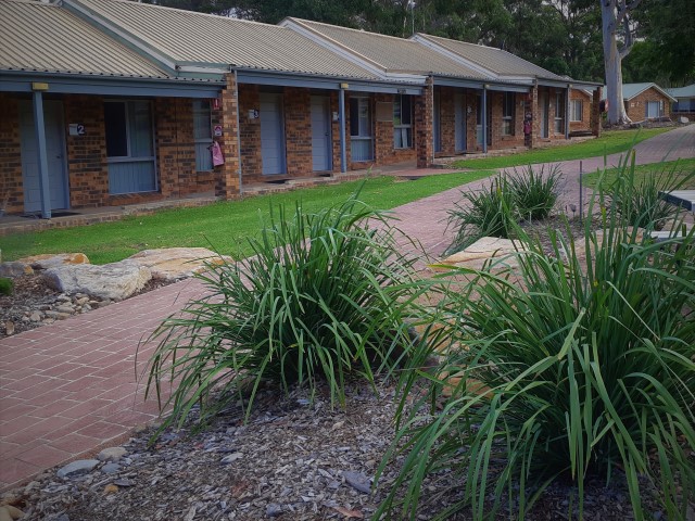 Pines External