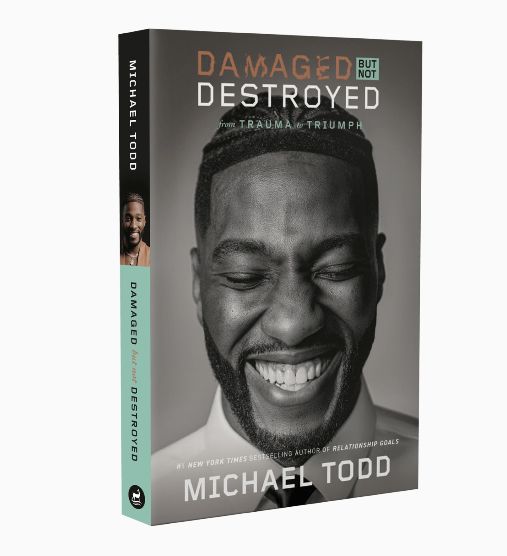 Damaged but not destroyed book by Michael ToddDamaged but not destroyed book by Michael Todd