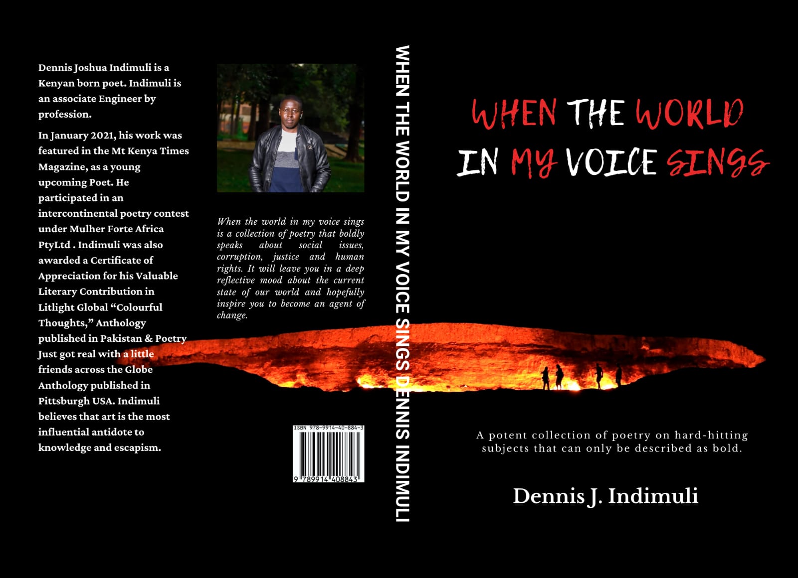 When The World In My Voice Sings book by Dennis J Indimuli