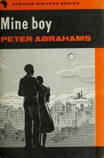 4. The Mine Boy by Peter Abrahams
