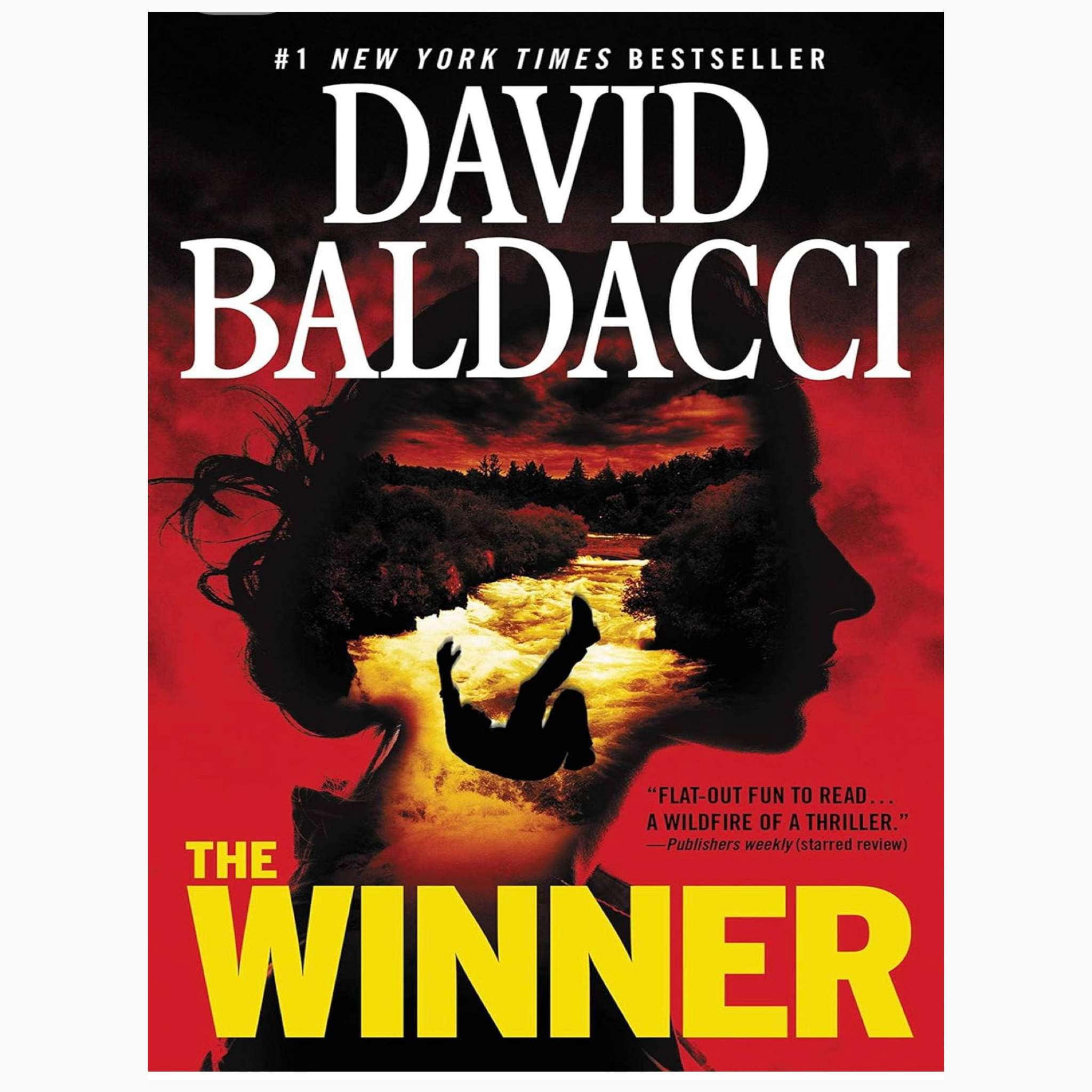 The Winner by David Baldacci