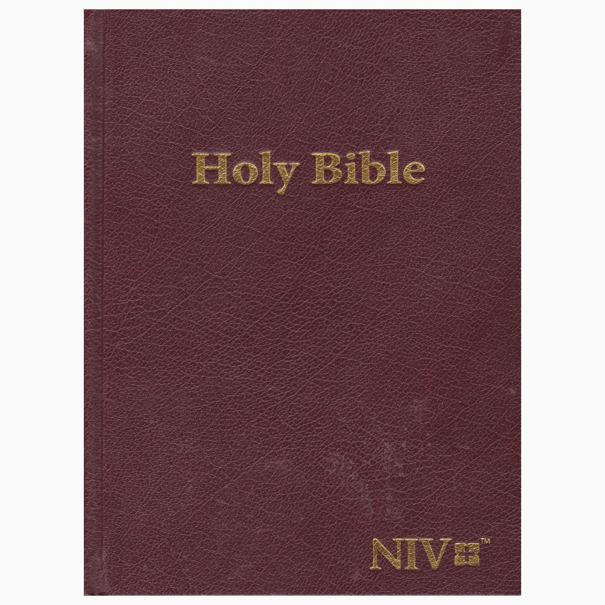 NIV Standard Reference Bible HardBack (Brown) by (BIBLICA)